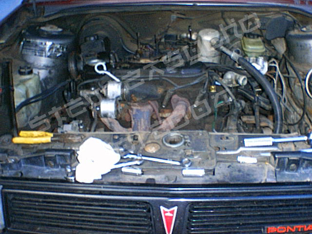 After_day_1_I.JPG (193207 bytes)