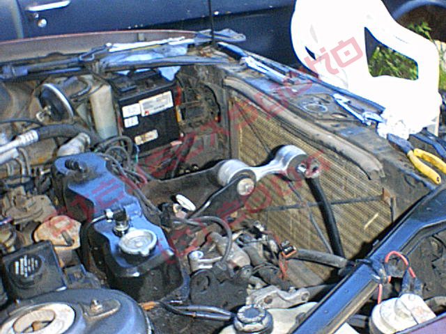 After_day_1_II.JPG (225865 bytes)