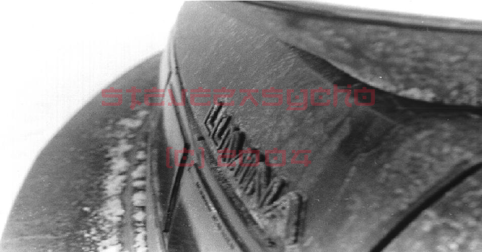 Lum_BW3.jpg (127968 bytes)