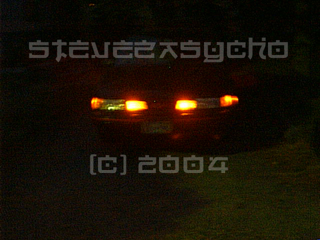 Night_2.JPG (202455 bytes)