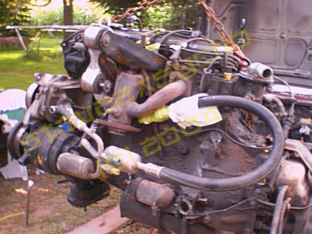 Out_without_a_hitch.JPG (206478 bytes)