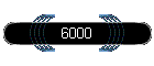 6000