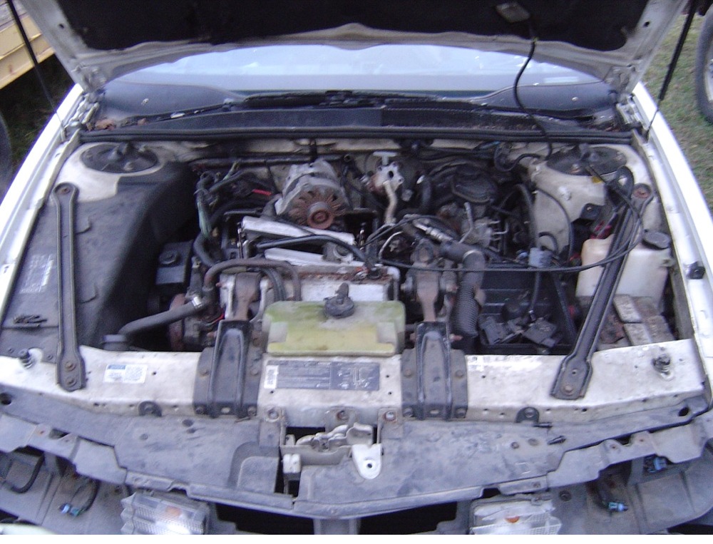 dealer3.1.jpg (219214 bytes)