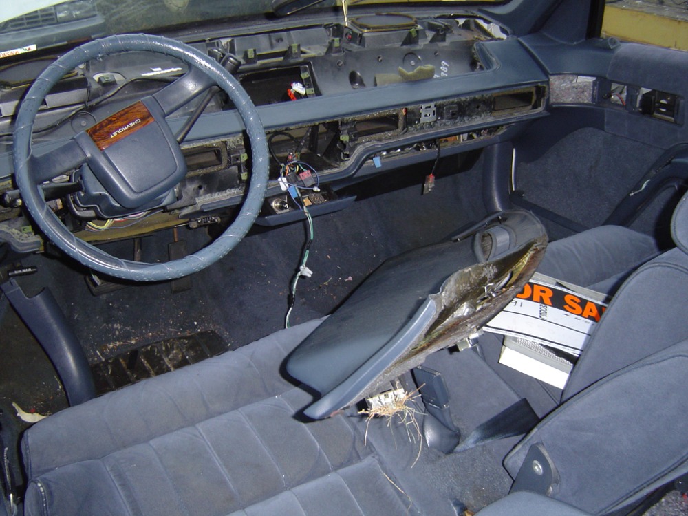 dealerint.jpg (204916 bytes)